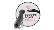 Buddy's Boxer Rescue