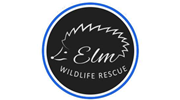 Elm Wildlife - Elm Hedgehog Rescue & Rehabilitation