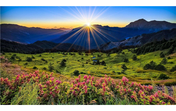 Margaret Rosemary Middlemist