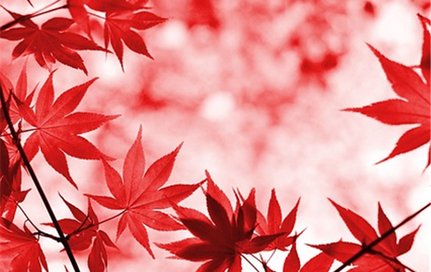 John Anthony Moorhouse