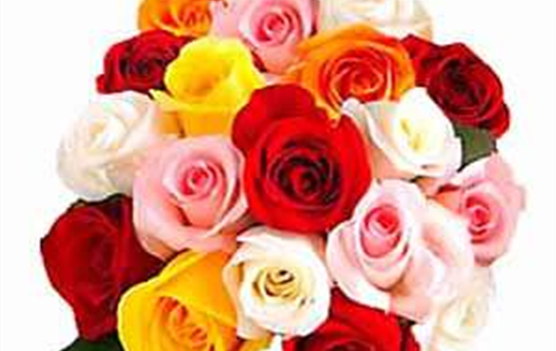 Lady Pamela De Ville