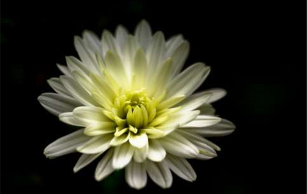 Rita Caroline Hancock