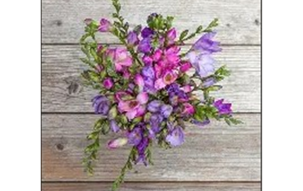 Marion Judith Morrison