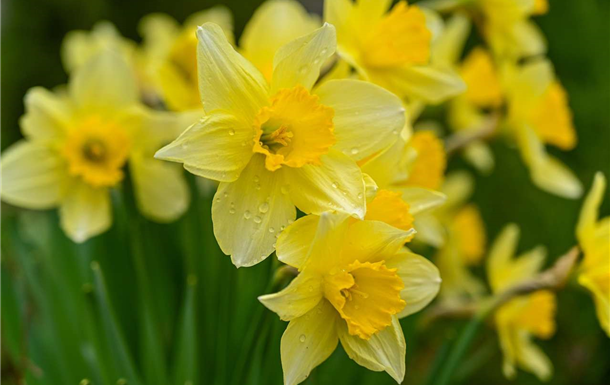 Marian Elizabeth Hall