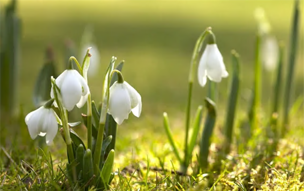 Malcolm John Pithers