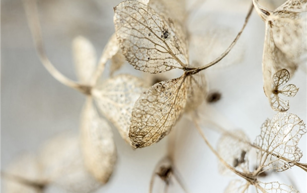 Gavin Bryan Hilton-Jones