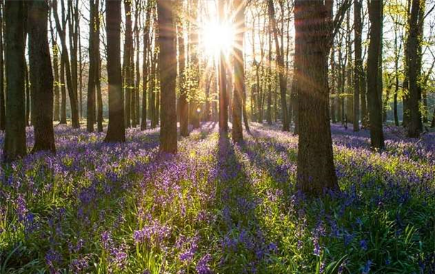 Jennifer Mary Murphy