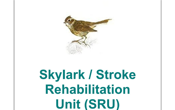 Arthur  Charles Henry Dunn