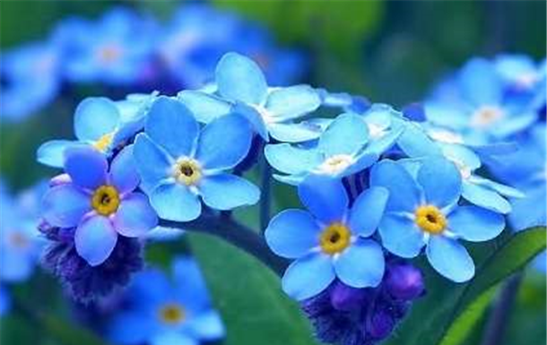 Peggy Doreen Eustace