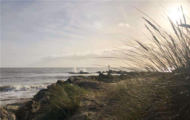 Alan Michael Parrott