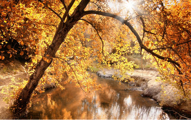 Kenneth Charles Higginson